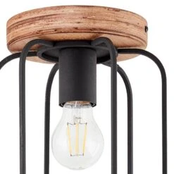 BRILLIANT Plafonnier Tosh 5 BRILLIANT Plafonnier Tosh -BRILLIANT Magasin 1000307213 211110 11421400497 DETAILS P000000001000307213