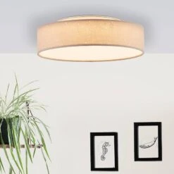 BRILLIANT Plafonnier Baska -BRILLIANT Magasin 1000373706 230203 021 MOOD DETAILS P000000001000373706 mood