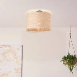 BRILLIANT Plafonnier Raffy I -BRILLIANT Magasin 1000373760 230203 021 MOOD DETAILS P000000001000373760 mood